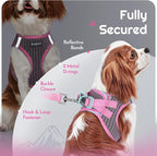 Eagloo Small Dog Harness and Leash Set, Step in Puppy Vest with Breathable Soft Mesh, Walking Reflective Pet Harness for Extra Small Dogs, Pink, XXS