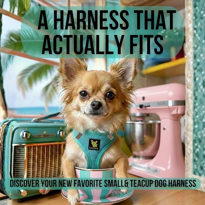 EcoBark Step in Dog Harness - Eco-Friendly Teacup Dog Harnesses for XXS, XS, and Small Dogs - Reflective and Adjustable Mini Body Halter Vest -Tiny Soft Mesh Toy Breed Harness Under 5 lbs (XXXS, Mint)