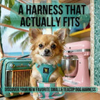 EcoBark Step in Dog Harness - Eco-Friendly Teacup Dog Harnesses for XXS, XS, and Small Dogs - Reflective and Adjustable Mini Body Halter Vest -Tiny Soft Mesh Toy Breed Harness Under 5 lbs (XXXS, Mint)
