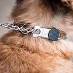Herm Sprenger Stainless Steel Dog Collar with Short Links and Quick Release ClicLock Buckle Made in Germany (Stainless Steel, 20in x 3.0mm (Neck Size up to 16-17in))