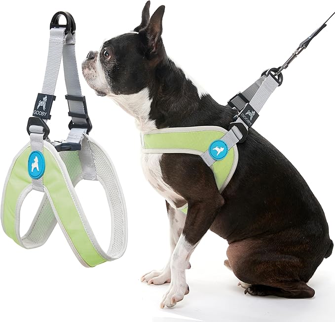 Gooby Simple Step in III Harness - Green, Small - Small Dog Harness with Scratch Resistant Outer Vest - Soft Inner Mesh Harness for Small, Medium Dogs