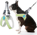 Gooby Simple Step in III Harness - Green, Small - Small Dog Harness with Scratch Resistant Outer Vest - Soft Inner Mesh Harness for Small, Medium Dogs