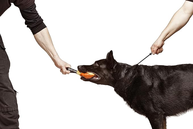 Dingo Gear Choke Collar for Dog Training Handmade of Cord with A Limiter, Waterproof Black S04059, (S)