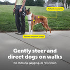 PetSafe Easy Walk Deluxe Dog Harness, No Pull Dog Harness – Perfect for Leash & Harness Training – Stops Pets from Pulling and Choking on Walks – Large, Steel