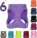 Dog Harness with Leash Set, No-Pull Step-in Reflective Pet Harness with 1 Leash Clips, Adjustable Soft Padded Easy Walk Dog Vest for Small Medium Large Dogs, Cats(Light Purple, XXSmall)