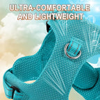Dog Harness Step in Dog Vest Harness, Reflective Adjustable Puppy No Pull Harness Breathable Soft for Small and Medium Dogs Cats, Ocean Blue, XXS