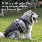 PawsPassion Dog Harness for Large Dogs, No Pull Dog Harness Easy Walk with Metal Hardware, Ergonomic Y-Shaped Design, Soft Padding, Padded Handle, Durable High-Tensile Nylon (Lilac Breeze, L)