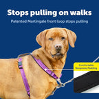PetSafe 3-in-1 Harness - Comfortable Easy-Walk Dog Chest Harness with Front Leash Attachment to Reduce Pulling, Choking & Gagging - Dog Obedience Gear - Large - Plum