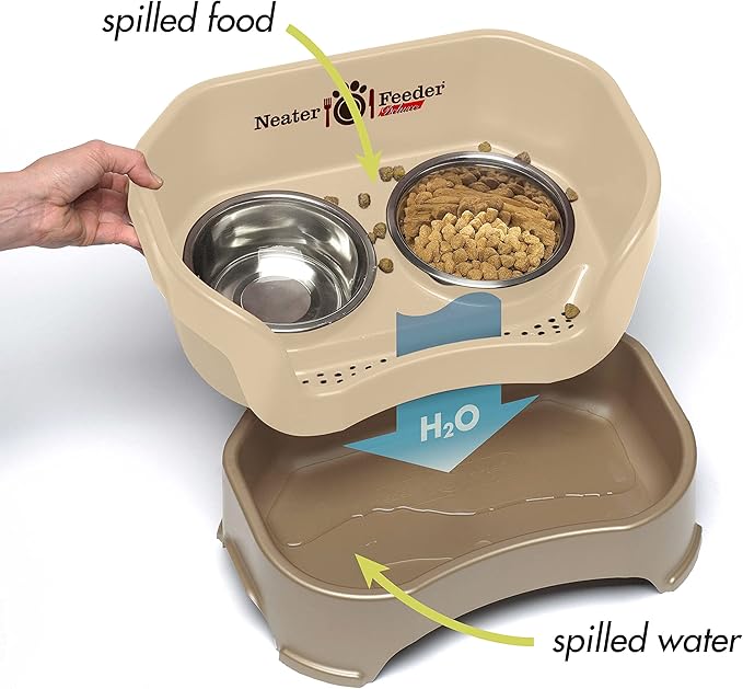 Neater Feeder Deluxe Mess-Proof Elevated Dog Bowls for Medium Dogs (19–40 lbs), 2 Height Adjustable (10” & 12.5”) No-Spill Raised Dog Bowl Stand, Stainless Steel Food Bowl Set, Made in USA, Cappuccino