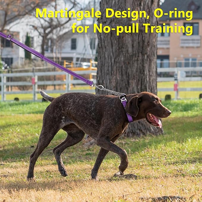 Plutus Pet Martingale Dog Collar with Stainless Steel Chain and Reflective Nylon, Adjustable No Pull Training Collar, for Small Medium, and Large Dogs, Purple, S