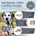 Lucky Love Dog Martingale Dog Collar - Adjustable, No-Slip, Durable, & Soft Webbing Collar for Male and Female Dogs Ideal for Training & Walking - Ladybird, Medium