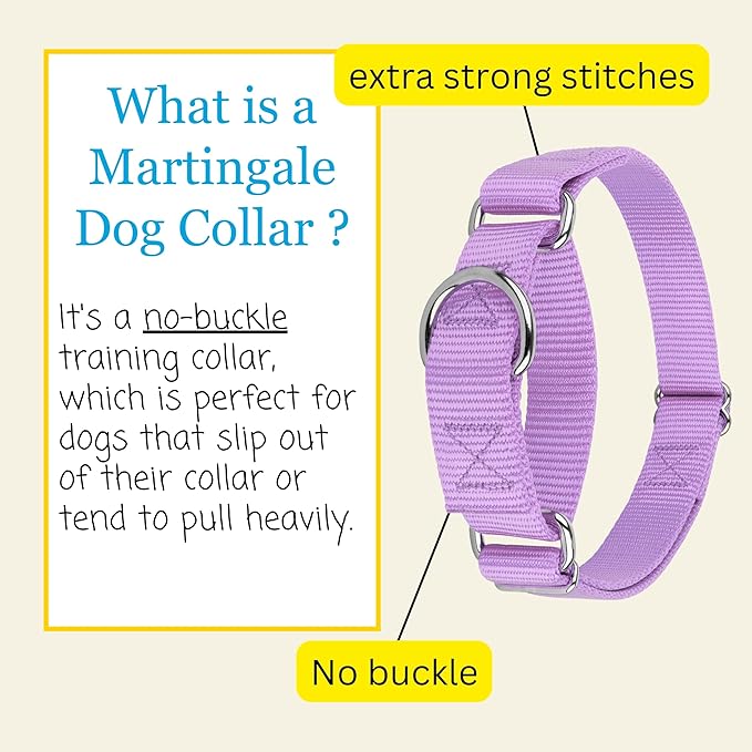 Country Brook Petz - Martingale Dog Collar - Heavy-Duty Training Collar with No Buckle - Service Dog Collar for All Pups - 10+ Cool Colors (Lavender, 5/8 Inch, Extra Small)