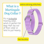 Country Brook Petz - Martingale Dog Collar - Heavy-Duty Training Collar with No Buckle - Service Dog Collar for All Pups - 10+ Cool Colors (Lavender, 3/8 Inch, 3XS)
