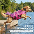 ASENKU Dog Life Jacket - Pet Safety Vest for Swimming & Boating, Shark Life Jacket with Floatation, Dog Lifesavers Swimsuits for Small Medium Large Dogs (Mermaid Pink, M)