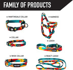 Wolfgang Heavy Duty Dog Leash, Pull-Tested for Walking & Training, ShatterShapes Print, Small