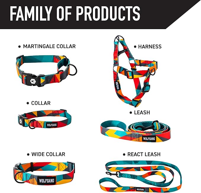 Wolfgang Heavy Duty Dog Leash, Pull-Tested for Walking & Training, ShatterShapes Print, Small