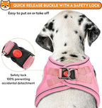 Dog Harness with Leash Set, No-Pull Step-in Reflective Pet Harness with 1 Leash Clips, Adjustable Soft Padded Easy Walk Dog Vest for Small Medium Large Dogs, Cats(Light Pink, XSmall)