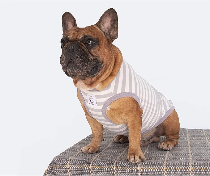 iChoue Pug 100% Breathable Cotton Striped T Shirts Halloween Vest Clothes for Medium Dogs Tank Tops Puppy French Bulldog Frenchie English Boston Terrier Pitbull Grey White Stripes - Small