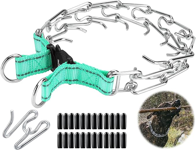 Quick Release Dog Training Collar Adjustable Stainless Steel Collar for Small Medium Large Dog (Teal, S Neck Girth 11.2"-14.5")