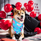 10PCS Big Valentines Day Dog Bandanas 33Inch with Heart Lip Rose Love Print for Extra Large XL XXL Breed Dog Triangle Bibs Scarves for Boys and Girls Holiday Grooming Accessories