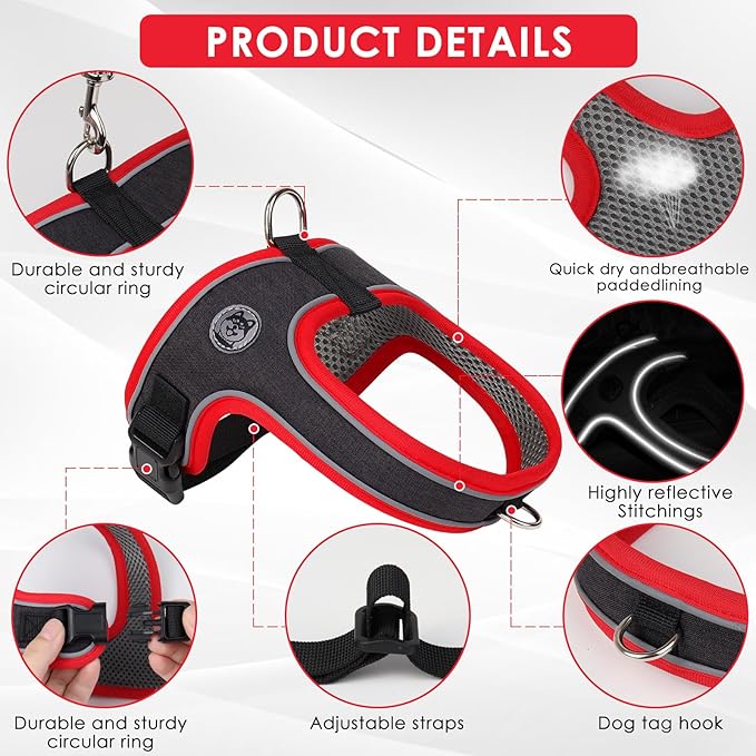 Dog Harness and Leash Set, No Pull Saddle Style Pet Harness, Breathable Mesh Adjustable Reflective Dog Vest for Dogs and Cat Medium Small Harness 2 D-Rings (Black, L)