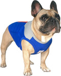 iChoue French Bulldog Summer Cooling Shirt for Dogs UV Sun Protection Vest Sleeveless Stretchy Tank Top English Pug Grey Blue - Small