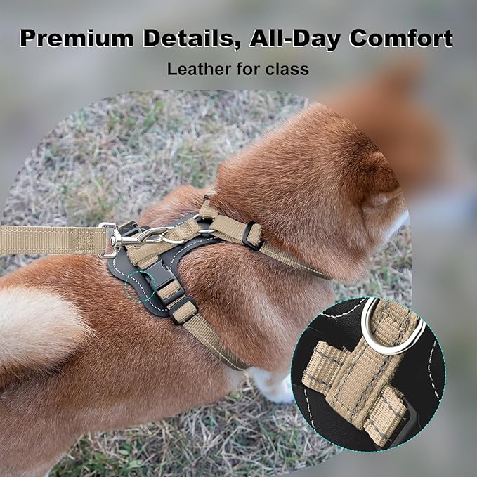 Plutus Pet Adjustable No Pull Dog Harness with Leather Accents, Heavy Duty Reflective Nylon Vest for Training, Hiking, Easy Walk Harness for Small, Medium, Large Dogs (Beige, M)