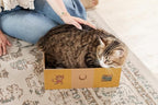 Sexy Liza's Cat Scratching Box-4 Four Reversible Scratch Pads; Lasts 4 Times Longer. No Assembly -Ready to go. Cat Scratch Lounger and Bed.. Comfy Size for The Comfy Chonk.