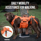 OneTigris Dog Lift Harness for Large Dogs, Dog Hip Support Brace, Full Body Dogs Lifter with Handles Invictus Multifunctional Mobility Assistance Vest for Back Legs