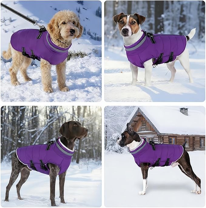 Mklhgty Medium Dog Coat with Harness Built-in, Waterproof Reflective Fleece Lined - Warm Windproof Winter Jacket with Back Zipper, Cold Weather Snow Dog Coats - Purple - M