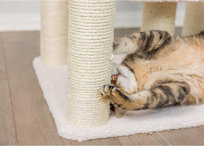 Armarkat B6203 Classic Real Wood Cat Tree, Five Levels With Condo and Two Perches