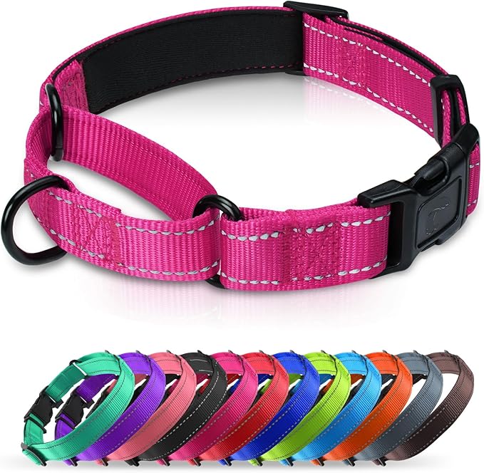 Martingale Collar for Dogs with Quick Release Buckle, Reflective Soft Padded & Escape Proof, Adjustable Nylon Dog Collars for Training & Daily Walking (Hotpink,XS)