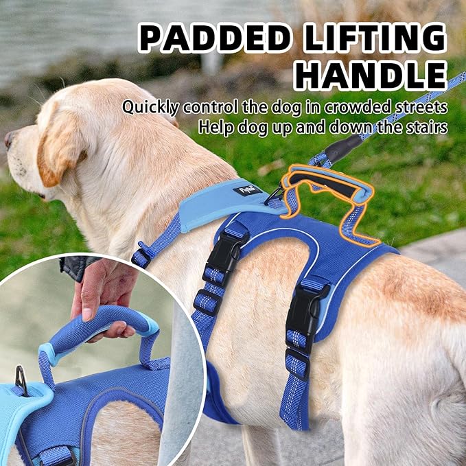 PUPTECK Escape Proof Dog Harness and Leash Set Upgraded No Pull Reflective Dog Vest with Lift Handle, Easy Control Pet Harness for Medium Large Dogs Training Walking Running, Blue, L