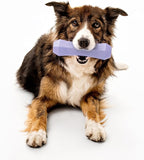 Playology Dog Toys | Durable Squeaky Chew Stick for Dogs | Jumbo Lamb Scented Toy - Easy to Clean and Made from Non Toxic Materials