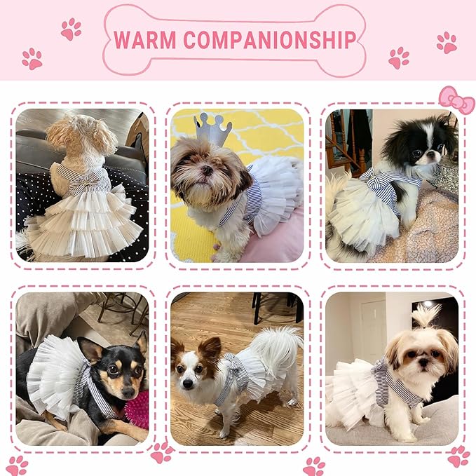 Dog Dresses, Fashion Pet Dog Clothes, Striped Mesh Puppy Dogs Princess Dresses (Blue, XX-Large)