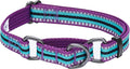 Blueberry Pet 4 Colors 3M Reflective Multi-Colored Stripe Martingale Safety Training Dog Collar, Violet and River Blue, Medium, Heavy Duty Adjustable Collars for Dogs