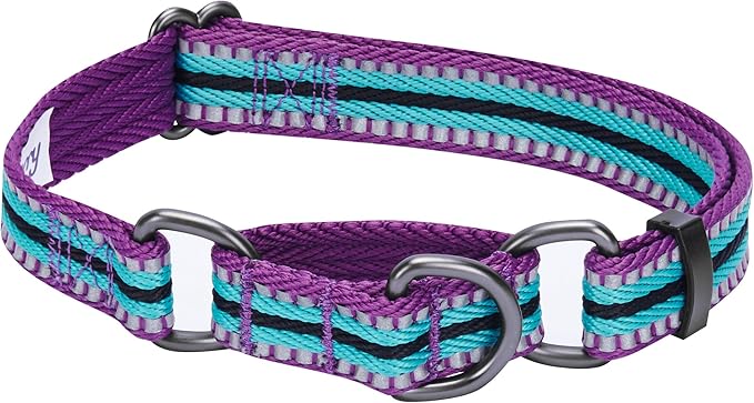 Blueberry Pet 4 Colors 3M Reflective Multi-Colored Stripe Martingale Safety Training Dog Collar, Violet and River Blue, Medium, Heavy Duty Adjustable Collars for Dogs