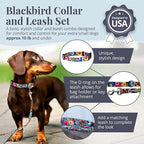 Lucky Love Dog - Easy Click Buckle Dog Collar with Leash Set Combo, Durable & Comfortable for Male & Female Dogs, Pet Collar for Small Dogs, Secure Fit - Blackbird Combo, X-Small