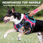 WINGOIN Tactical Dog Harness for Small Dogs, No Pull Harness with Handle Pockets Poop Bag, Reflective Dog Vest, Military Service Heavy Duty Big Dog Harness for Walking Hiking Training (Pink Blue, S)