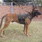 ICEFANG GN3 Tactical Dog Harness with 6X Buckle,Dog Molle Vest with Handle,3/4 Body Coverage,Hook and Loop Panel for ID Patch,No Pulling Front Clip (XL (32"-39" Girth), Ranger Green)