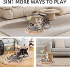 Natural Sisal Round Cat Scratcher，Interactive Cat Ball Track Toy for Indoor Cats，Cat Scratching Pads，Kitten Toys for Chasing Hunting Mental Physical Exercise Puzzle