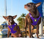 EcoBark Rapid Fastener Super Comfort Fully Adjustable Double Padded Step in Dog Harness (XXS, Purple)