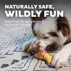 Outward Hound by Charming Pet Squawkers Henrietta Latex Squeaky Rubber Chicken Dog Toy, Funny Interactive Holiday Toy for Dogs, Small Size