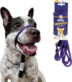 Heather's Heroes Sidekick Dog Headcollar with Leash - Effective Dog Training Tool for Leash Reactivity and Behavior Issues (Purple, Mini (1/4"))
