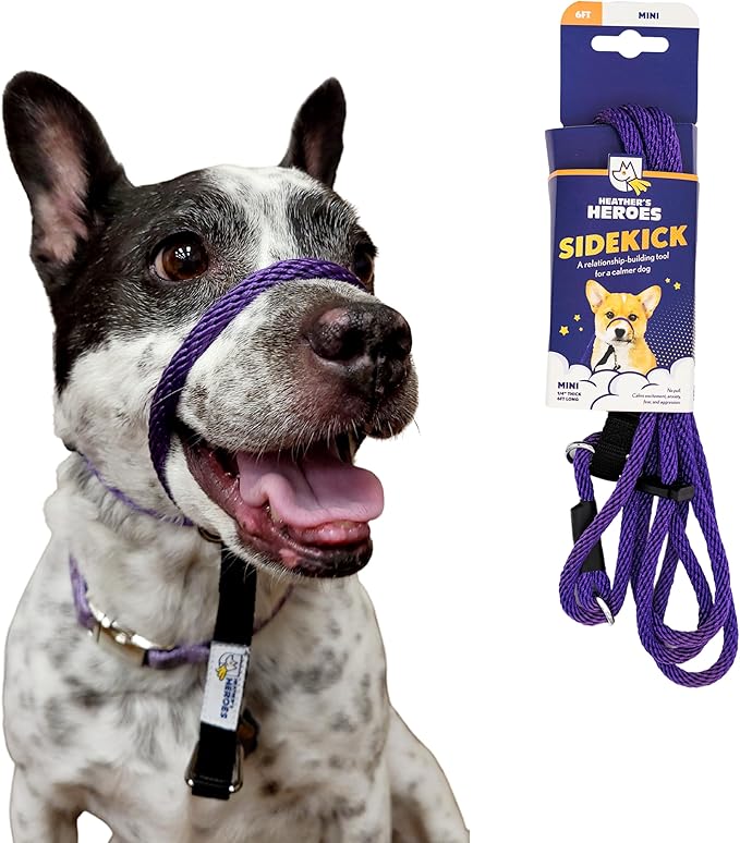Heather's Heroes Sidekick Dog Headcollar with Leash - Effective Dog Training Tool for Leash Reactivity and Behavior Issues (Purple, Mini (1/4"))