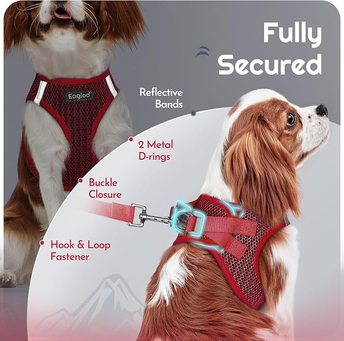 Eagloo Small Dog Harness and Leash Set, Step in Puppy Vest with Breathable Soft Mesh, Walking Reflective Pet Harness for Small Dogs, Red, S