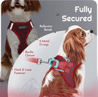 Eagloo Small Dog Harness and Leash Set, Step in Puppy Vest with Breathable Soft Mesh, Walking Reflective Pet Harness for Extra Small Dogs, Red, XXS
