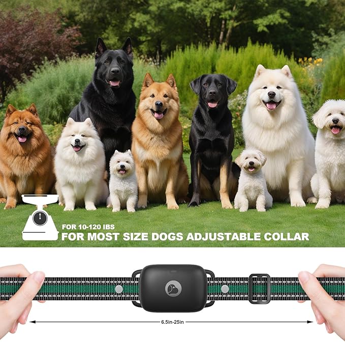 Dog Shock Collar - 2600FT Rechargeable Waterproof Dog Training Collar with Remote with Beep, Vibration(1-16), Safe Shock(1-16) e Collar for 5-120lbs Small Medium Large Dogs (Black)
