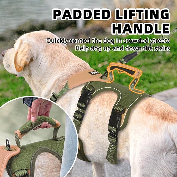 PUPTECK Escape Proof Dog Harness and Leash Set Upgraded No Pull Reflective Dog Vest with Lift Handle, Easy Control Pet Harness for Medium Large Dogs Training Walking Running, Green, XL