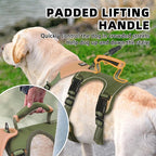 PUPTECK Escape Proof Dog Harness and Leash Set Upgraded No Pull Reflective Dog Vest with Lift Handle, Easy Control Pet Harness for Medium Large Dogs Training Walking Running, Green, XL